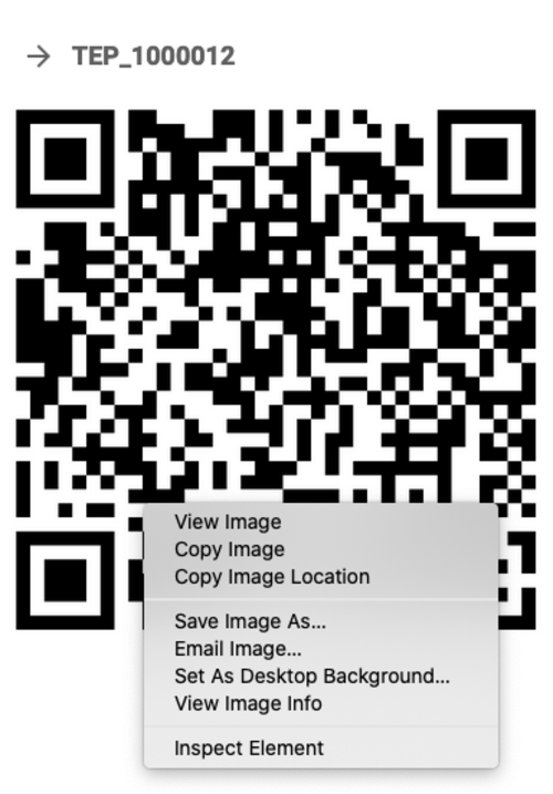 Boarding pass QR code