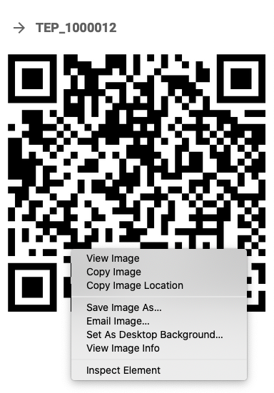 Boarding pass QR code Boarding pass QR code
